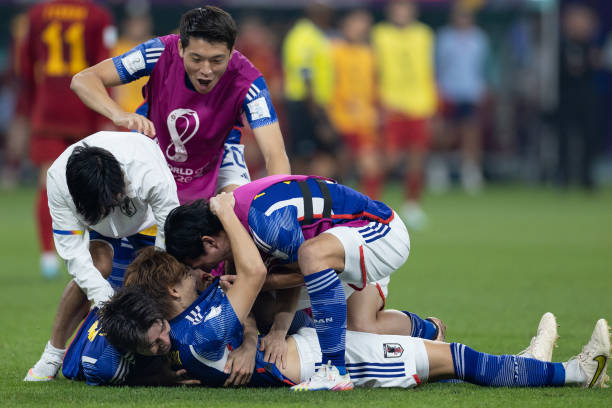 的重要新成 的重要新成