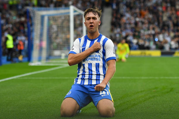 使得许多豪 使得许多豪